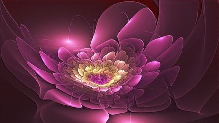 Lovely Lotus - nature, lotus, abstract, 3d, flower