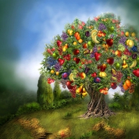 TREE OF ABUNDANCE