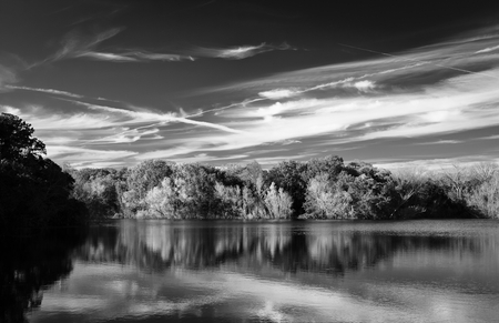 Reflections - back and white, water, nature, photography