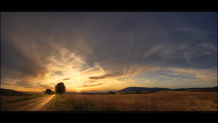 Sunset - field, sunset, nature, sky