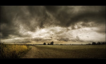 big sky - nature, sky, field, beautiful