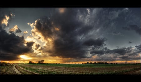 Towering clouds - sky, field, sunset, clouds