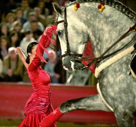 At a Time - spanish, grey, dancer, horses, spain, girl, flamenco, andalusian