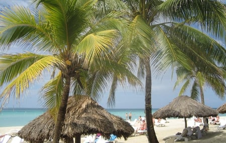 Jamaica Beach - negril, beach, palm, jamaica