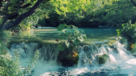 dual waterfalls in croatia - vegetation, river, waterfalls, trees