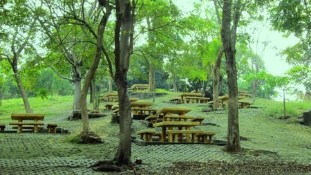 Rest areas - slopeland, wood  desk chair, tree, rest