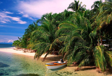 Caribbean Beach - nice view, caribbean, green water, boat, beach, blue sky, sand, sea, palmtrees