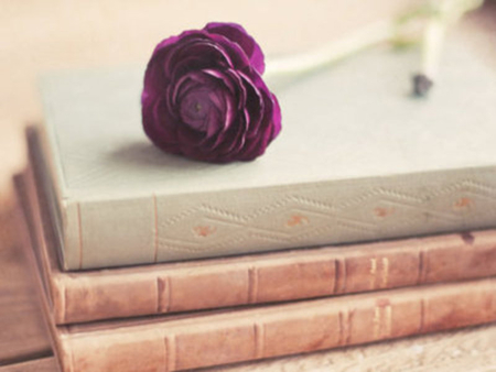 Purple - purple, book, rose, vintage