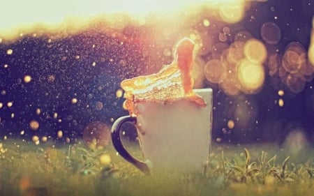 The cup fairy! (for Mileny) - photograph, wallpaper, magical, photo, wall, cup, grass, pic, magic, light, picture, image, fairy, nature