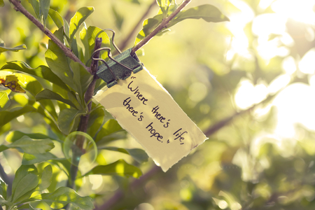 hope - nature, hope, photography, beauty, words, stilllife, tree