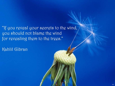 Secrets, a good quote! - secrets, wind, gibran, quote