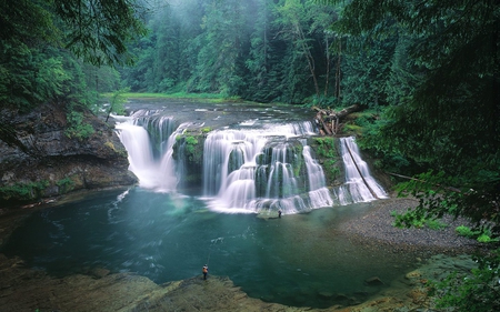 Lower River Waterfalls, Washington - river, waterfalls, trees, nature, rock, forest