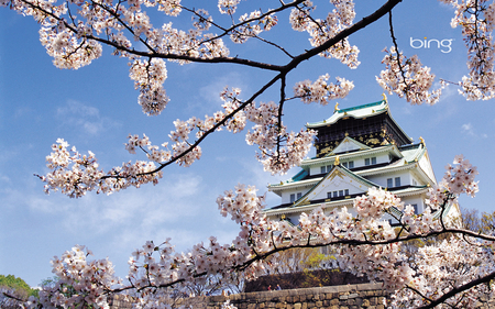 beautiful house - house, asian, flower, beautiful