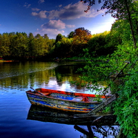 Boat in mirrored waters