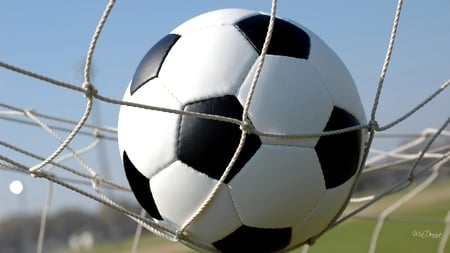 Soccer Season - ball, healthy, sports, soccer, game, football, grass, sky, net, fun