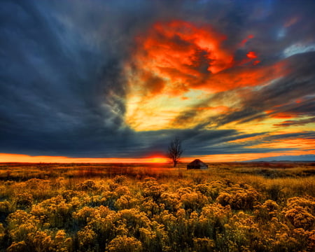 Beautiful sky - clouds, house, glow, sunset, beautiful, field, reflection, sky