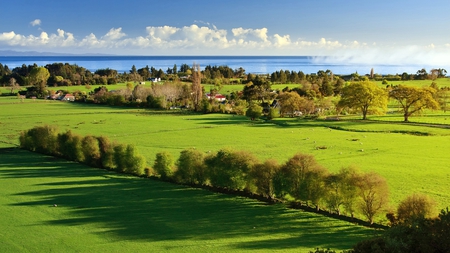 beautiful farms by the sea - sea, livestock, farms, fields