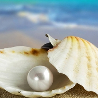 I Found this Pearl in the Sea for You