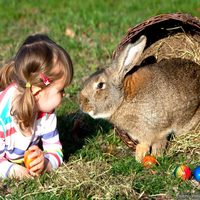 I love so much spring and easter