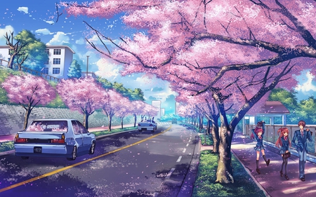 Sakura Road - anime, kids, sakura, blue, road, grass, pink, leaves, cherry trees, car, clear, students, sky