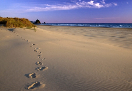 beach - pretty, nice, lovely, beach