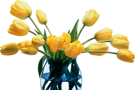 ♥ Love tulips ♥ - sparkle, sunny, yellow, forever, fashion, sunshine, spring, entertainment, love, light, crystal, floral design, blue vase, tulips, magnificent, bright