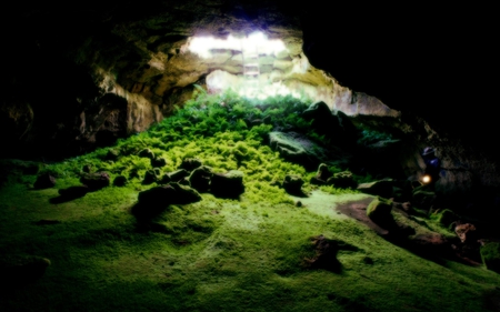 The Cave - cave, nature, green, beautiful