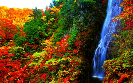 AUTUMN FOREST FALLS - nature, waterfalls, autumn, forest