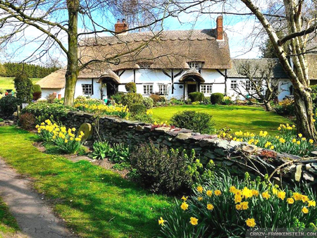 quaint house in the country - beautiful, house, gorgeous, quaint