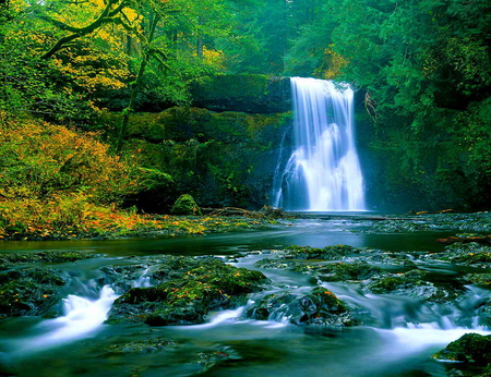 Beautiful waterfall - calm, summer, stream, forest, waters, emerald, woods, falling, branches, trees, beautiful, stones, nature, waterfall, green, peaceful, silent