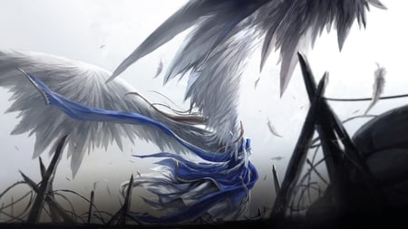 Wings of Fate - black, white, blue, girl, angel