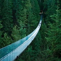 Capilano Suspension Bridge Vancouver