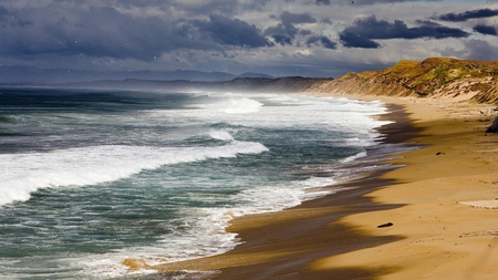 sea and sand - beach, sea, birds, waves