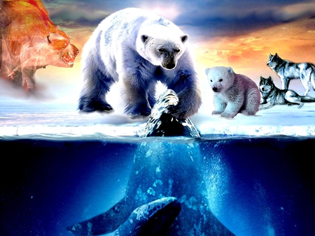 BEAR - nature, bears, indian, bear, indians, color, mountains, 2012