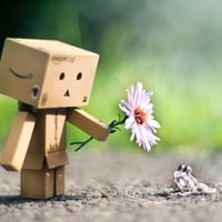 Danbo w Flower