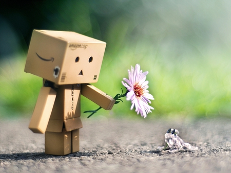 Danbo w Flower - flower, picture, cool, danbo