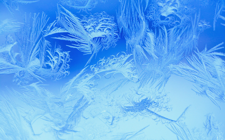 Frost - frost, ice, winter, blue