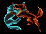 Fire And Ice  {Fighting Wolves}