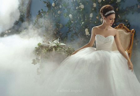 cinderella's glass slipper - wedding, romance, love, photography