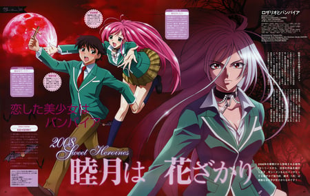 Sweet Heroines - vampire, rosario vampire, moka akashiya, tsukune aono, rosary, cross