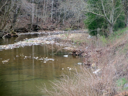 Roaring Rocky Creek - spring, nature, brook, creek