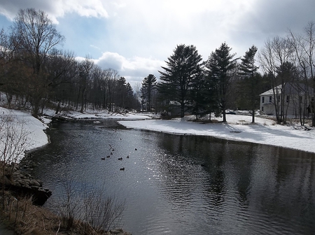 East Madison, Maine - water, sky, ducks, trees