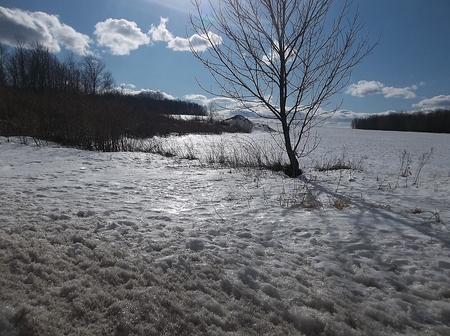 winter afternoon in Industry, maine - maine, sky, trees, snow, industry, field