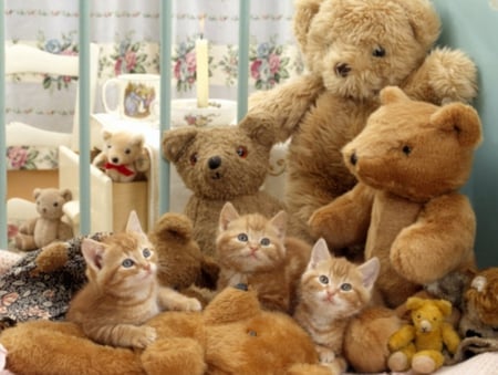 kittens and teddy bears - cat, kittens, animals, cats, cute