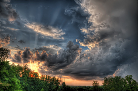 Amazing Sunset - nature, amazing, light, tree, sunset