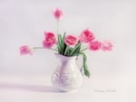 Soft pink tulips