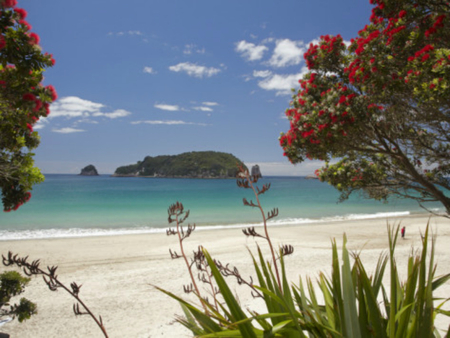 beach with flowers? - flowers, pretty, beach, nice, lovely