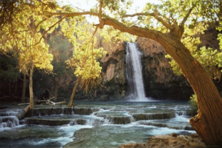 waterfall on havasu creek - nice, pretty, tree, waterfall, lovely