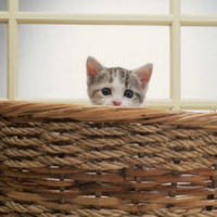 HI!