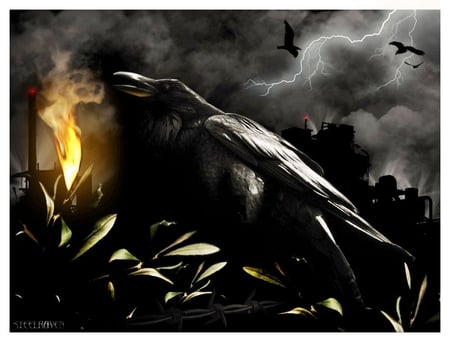 Steel Raven - feathers, fantasy, fire, storm, raven, bird, dark, clouds, steel